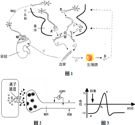 视频五 我很乐意用其他方式协助您