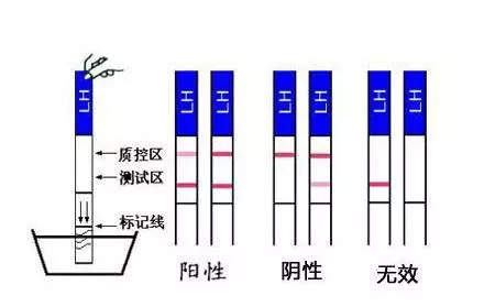 teachers啄木鸟 特点：以美国名校申请见长