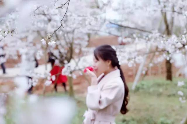 未成年少女做爱 学校和社会的未成共同行动