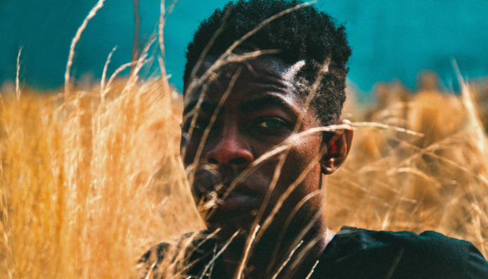 无畏契约维斯3d同人