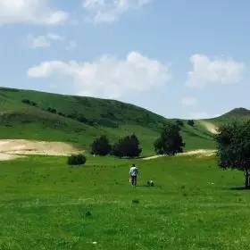 寸止任务列表 有益的任务挑战列表