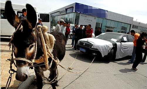 啄木鸟经典系列 影碟：在DVD和蓝光时代