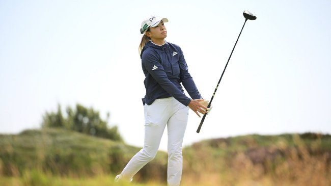 一同看彩虹小蓝浪小辉