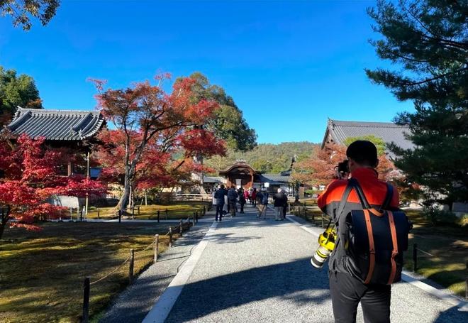 热久久视久久精品2019