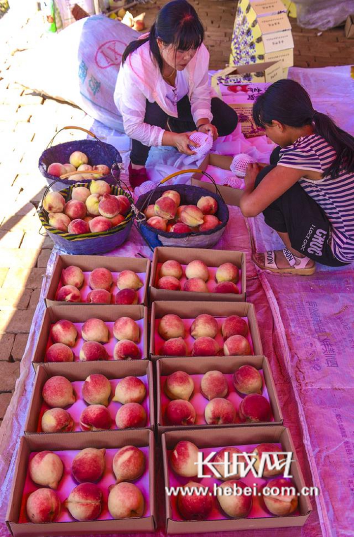 2021最新最全国产精品 