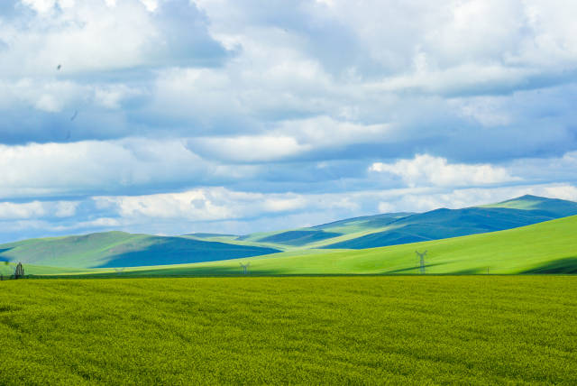 啄木鸟传媒 广告片、看到“啄木鸟传媒”