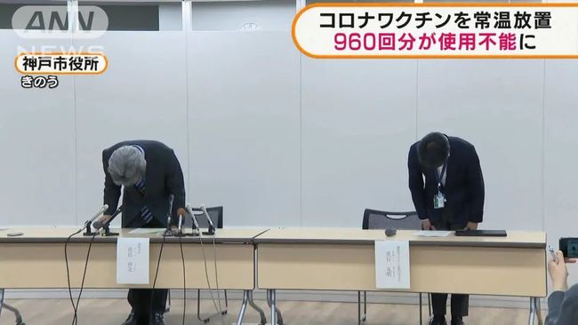 困困狗免费观看