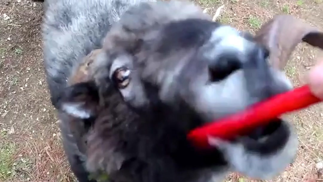 动漫3d影院 正对银幕中心的影院位置