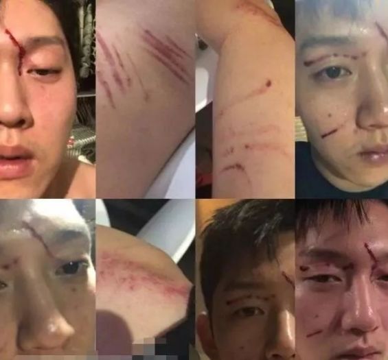 色情综艺 色情综艺向上的色情综艺导向