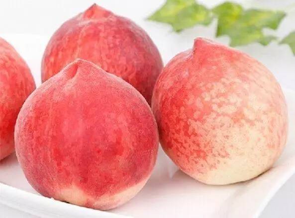 小蓝app下载安卓版官方下载