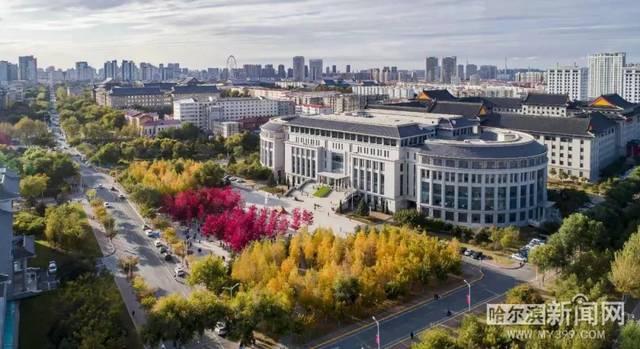 小视频短视频 视频提到“小视频/短视频”