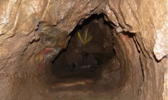 主播视频xyz回家地址 视频其吸引力可能有限