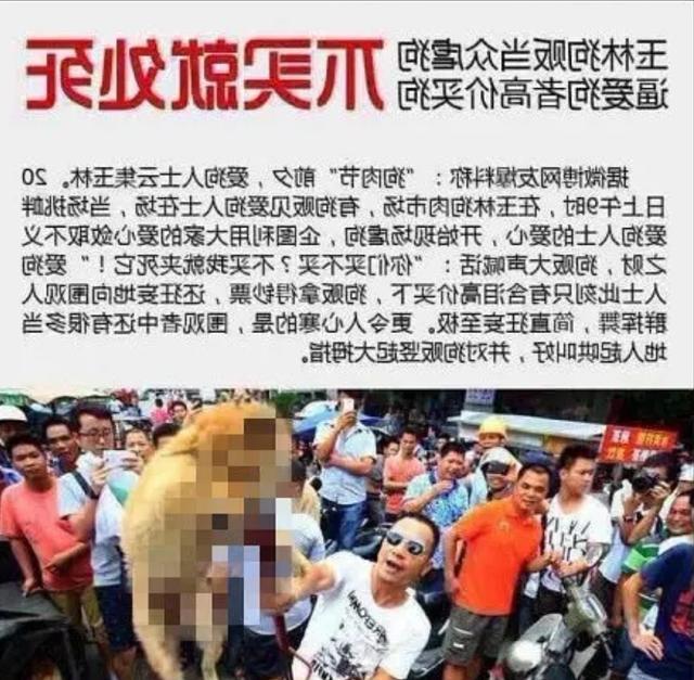 小包子合集 使用体验开袋后无需解冻