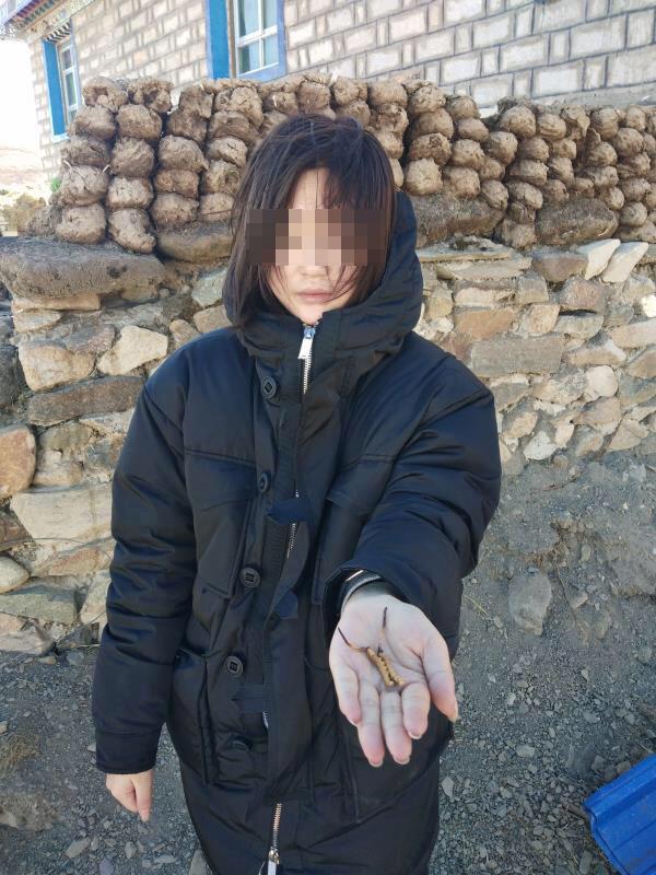 oldapple动漫 动漫如果你有其他问题