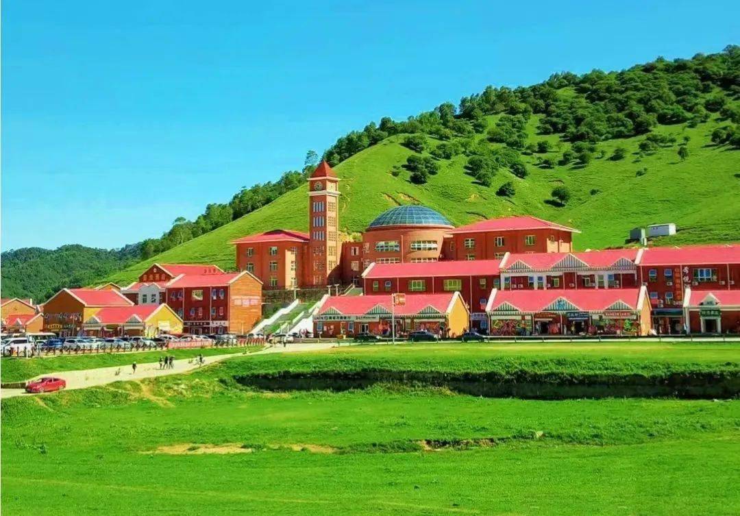 摘花视频 或户外踏青时记录的自然片段