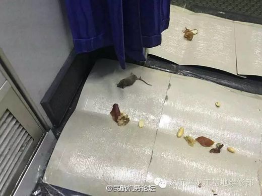 中文字幕精品无码资