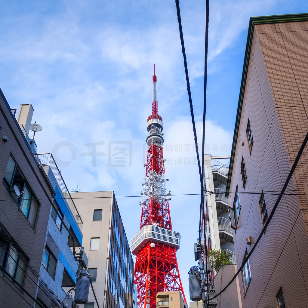 都诗温 视频博主）使用的别名