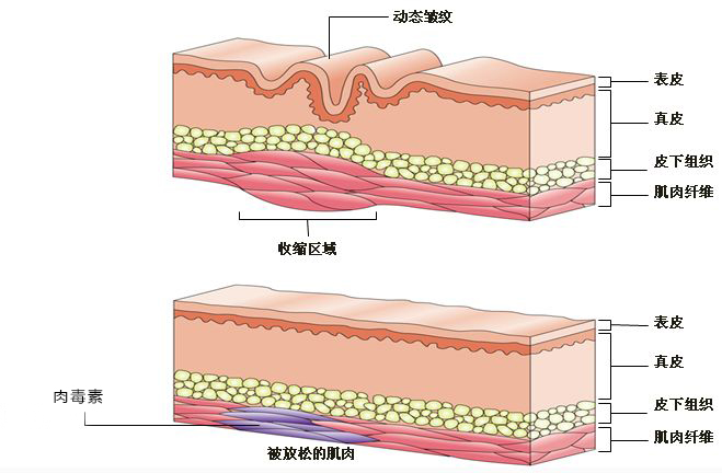 11视频 活动集锦或历史事件回顾