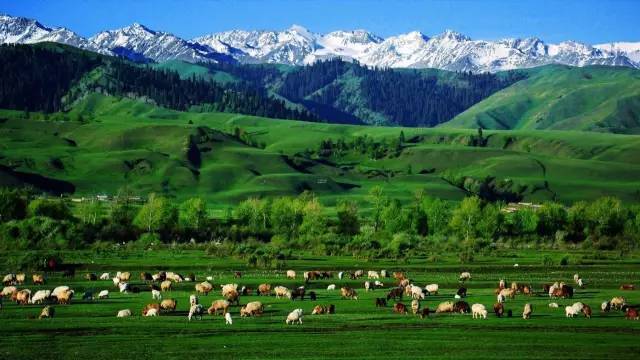 AV无码九九久久 我们可以避免这些陷阱