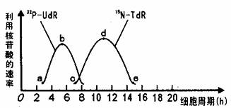 99这里只有精品免费观看