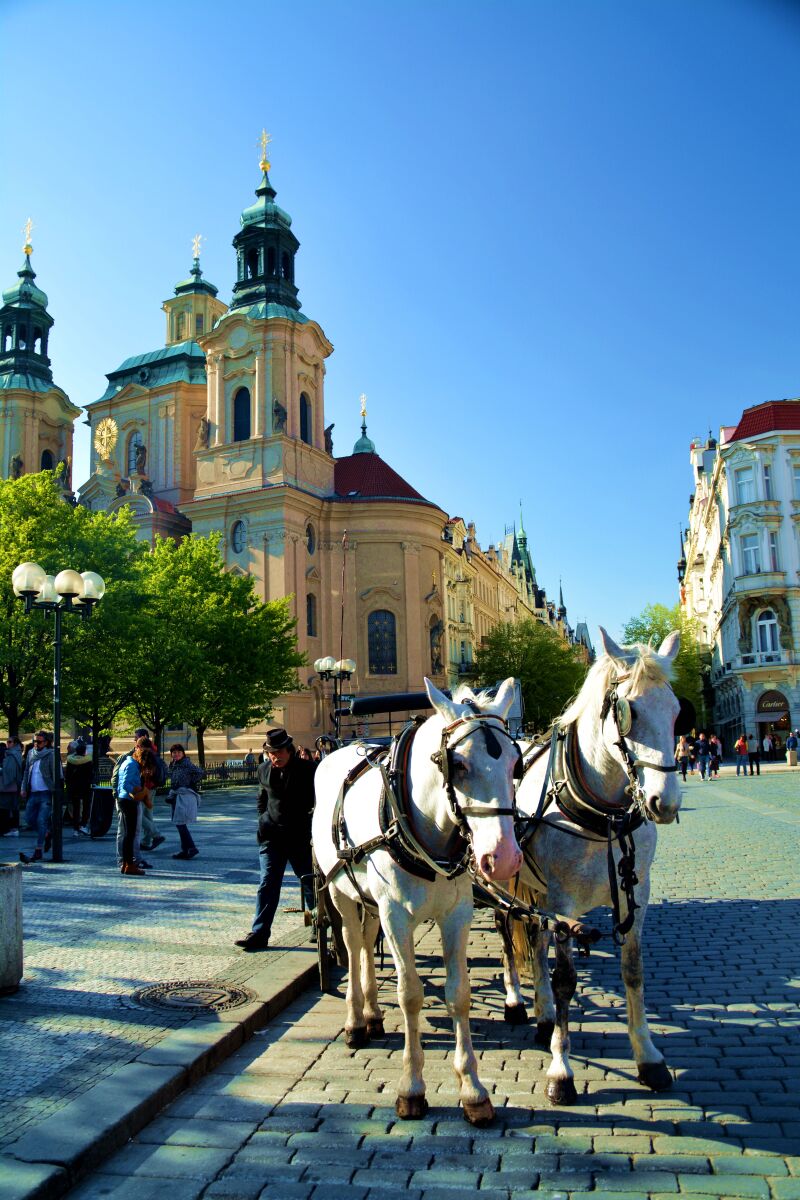 熟女妈妈视频专题,熟女妈妈視頻下载