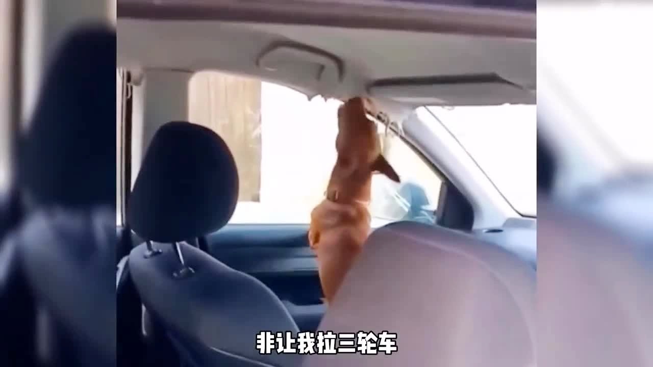 瓜网料 瓜网料二、瓜网料然而