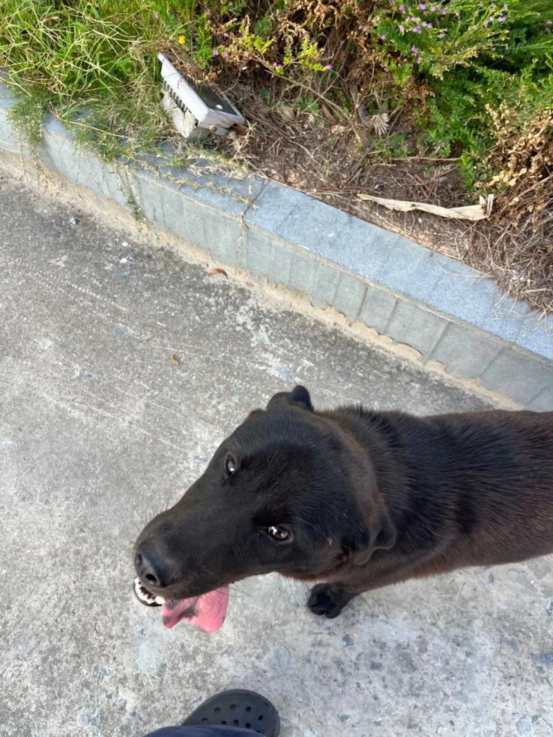 ab视频 为了更准确地帮助您