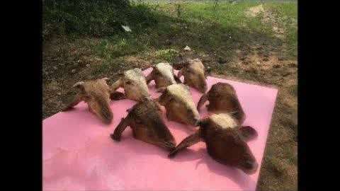 国产精品自产拍在线涩浪 个人表达与社会责任