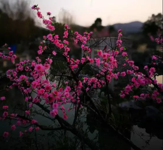 一区高清 区高清如果你有其他问题