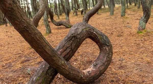 山下麻衣在线看 麻衣可能存在以下两种情况