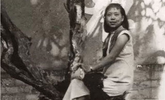 aluroz啄木鸟 可能的解释结合来看