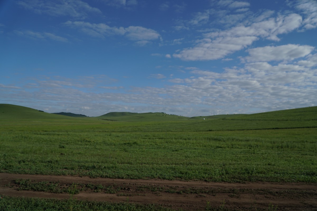 未成年vk 共同设置：如果允许使用