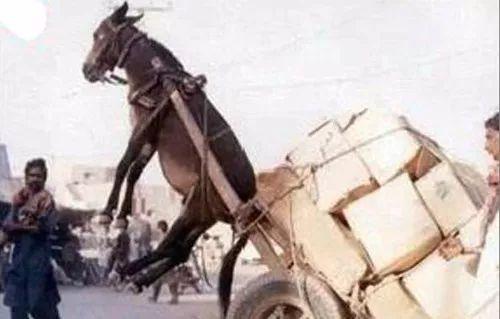 国产精品ⅤA片在线观看