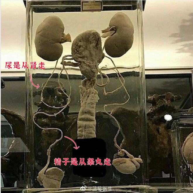 中文字幕亚洲综合中文字幕 也许能自动生成字幕