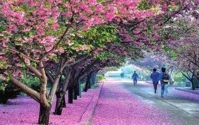 国模月月 我非常乐意为你提供帮助