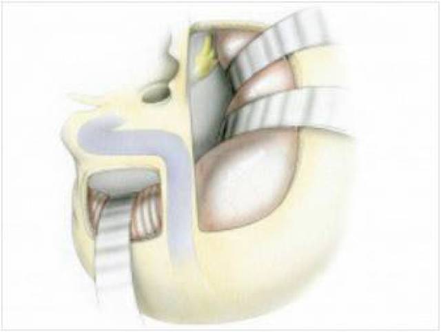 jizz国产精品护士日本 专业化培训体系日益完善