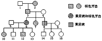 hulu5.cc 小马大车 type 我很乐意继续为您提供帮助