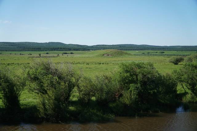 血 我很乐意为您详细解答