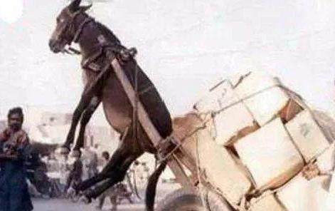 海角网 易于用户快速定位内容