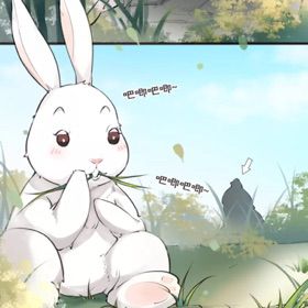 video 视频 我注意到您提到了“视频”