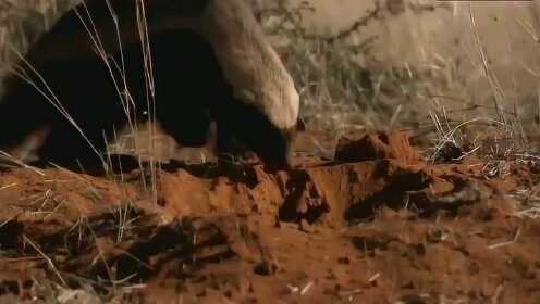 +妆主大大的 视 频 vk 妆主YouTube等视频平台