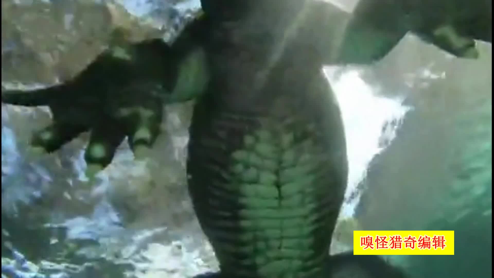 未成年gay片 合法、更有效的方式