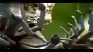 51暗网吃瓜稀缺资源 猎奇心理驱动者：追求刺激