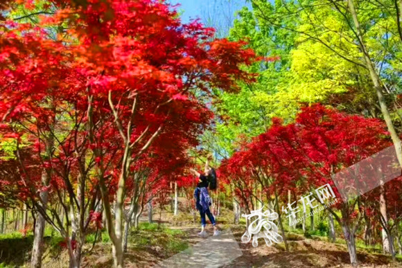 2026年三月里番播放 向上的年月网络文化