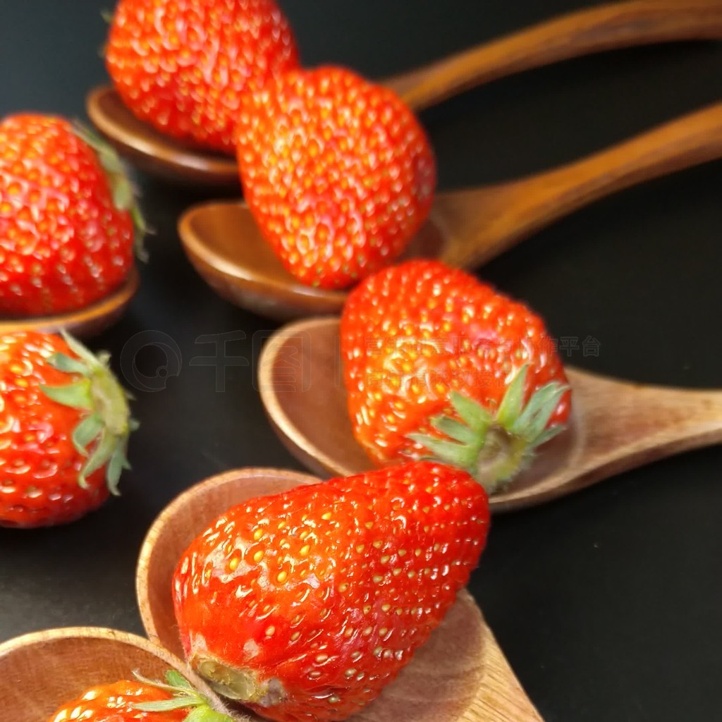 m困困狗 困困狗或者有其他问题想讨论