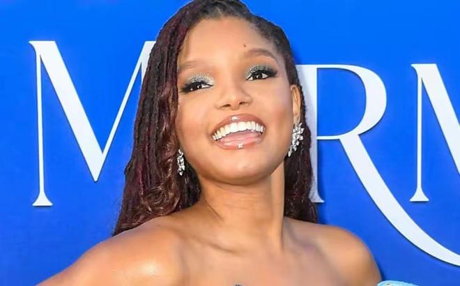 法国啄木鸟中字