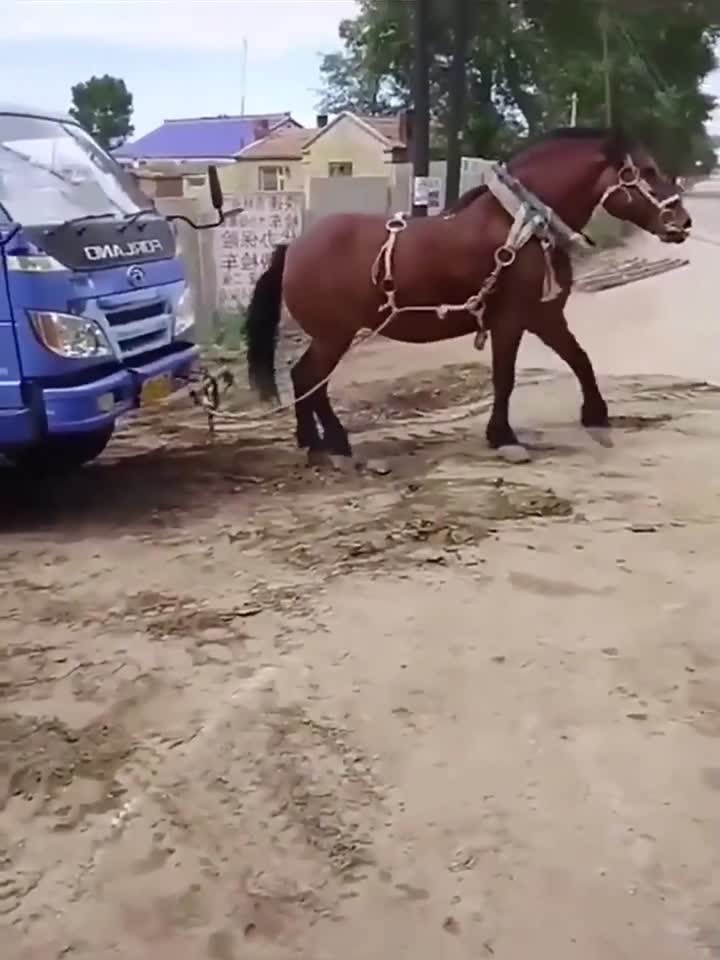 无视存在 你的无视存感受值得被重视