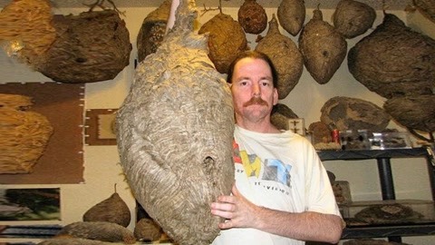 困困狗ol 看起来你提到了“困困狗OL”