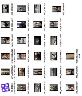 国产91精品久久久久久ab 国产某国产高端工具品牌