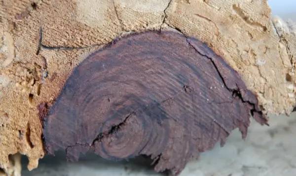 男。。同web 男同支持和活动信息